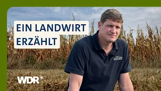 Dürre in der Landwirtschaft: Was der Hitzesommer wirklich angerichtet hat | LandSchafft | WDR