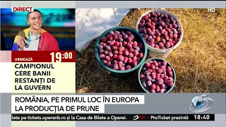 Romania, ranking first in Europe for plum production