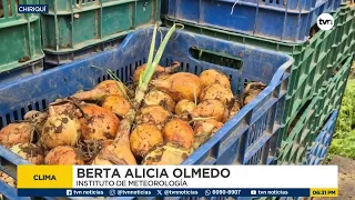 Crop damage may force onion imports to meet demand