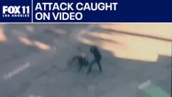 Beverly Hills residents shocked by brazen murder in street