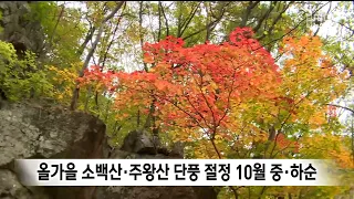 Peak Fall Foliage for Sobaeksan and Juwangsan Mountains Predicted for Mid-to-Late October
