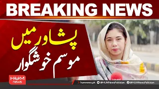 Pleasant Weather Returns to Peshawar | Latest Weather Update| Hum News | Pakistan