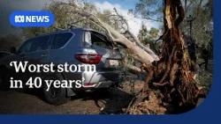 Heavy rain, hail and ferocious wind speeds of 96km/h lash Alice Springs, clean up begins | ABC NEWS