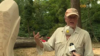 Befejeződik a Kámoni Arborétum egyhetes nemzetközi alkotótábora
