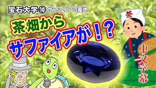 GSTV 宝石大学 #10 “蓝宝石产区” 来自茶园的蓝宝石！ ？