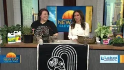 New Day Cleveland: Wicked Plant Co. New Day Cleveland: Wicked Plant Co.