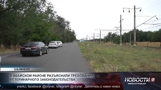 Не оставлять животных без присмотра просят фермеров в Шымкента