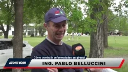 2nd Edition 10/07 How to combat sunflower diseases Pablo Belluccini pt2