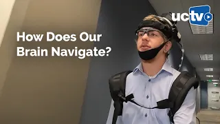 How Does Our Brain Navigate?