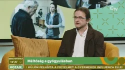 Méltóság a gyógyulásban – Mozaik