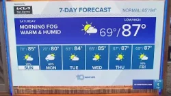 10 Weather: Tampa Bay area late forecast | April 19, 2024