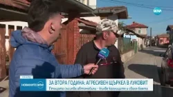 Агресивен щъркел кълве калници и сваля боята на коли в Луковит - Новините на NOVA (19.04.2024)