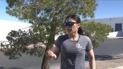 Red Rock Canyon rock climbing safety: Expert tips before you hit the trails