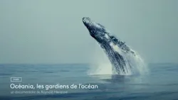 [Bande annonce] Océania, les gardiens de l'océan