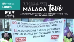 ? PTV NOTICIAS MÁLAGA HD | Caos en el cercanías | 10 feb