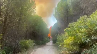 Top Channel/ Riaktivizohet zjarri në pyllin e Drenies, terreni i thepisur vështirëson ndërhyrjen