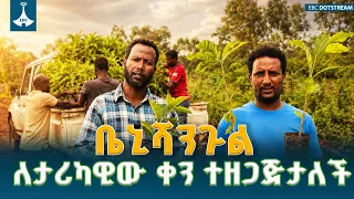 የቤኒሻንጉል ጉሙዝ አረንጓዴ አሻራ | 800 ሚሊዮን ችግኞች ለምግብ ዋስትና እና ለአካባቢ ጥበቃ