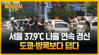 서울 37.9℃ 나흘 연속 경신…도쿄·방콕보다 덥다 [세상만사] #서울 #폭염 #최고기온
