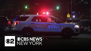 2 arrested after carjacking in Canarsie, Brooklyn, police say