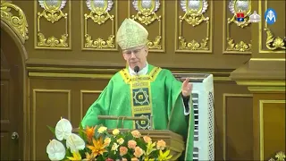 Sunday Homily | July 19