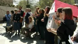 Присоединяйтесь к митингу за более доступный Сиэтл с большим количеством жилья, парков и обществе...