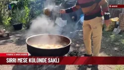 SIRRI MEŞE KÜLÜNDE SAKLI