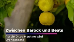 Purple Disco Machine wird Orangenpate | Sachsen Fernsehen