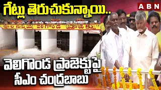 గేట్లు తెరుచుకున్నాయి..వెలిగొండ ప్రాజెక్టుపై సీఎం చంద్రబాబు |  CM Chandrababu at Veligonda Project