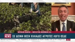 Χωρίς εισόδημα χιλιάδες οικογένειες αγροτών – Στον «αέρα» οι επιδοτήσεις