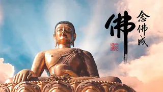 淨空老法師｜念佛成佛｜普等三昧及大寂定，並是念佛三昧-第1995集