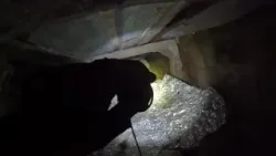 ویدیوی ارتش اسرائیل از شناسایی و کشف مهمات در مخفیگاه گروه تروریستی «جماعت اسلامی»