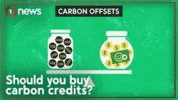 Do carbon credits help or hinder efforts to save the planet? | 1News