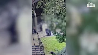 «Օրենքով գողեր» են ձերբակալվել