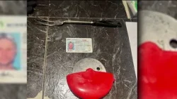 Minnesota man tried to break Luigi Manigone out