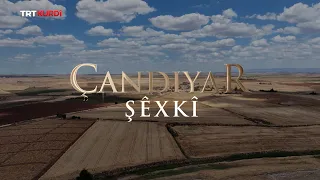 Çandiyar - Beşa 10. (Şêxkî)