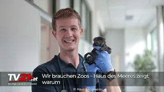 We Need Zoos – Haus des Meeres Shows Why