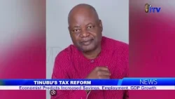 Налоговая реформа Тинубу: экономист прогнозирует рост сбережений, занятости и ВВП.