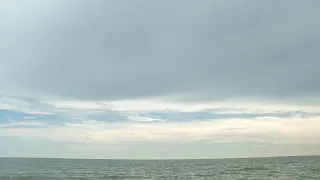 Florida man dies, multiple injured after lightning strike