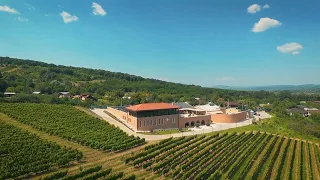 Exclusiv în România: Dealu Mare – ţinutul vinului şi al binelui (@TVR1)