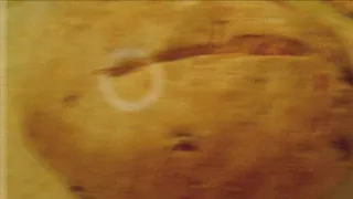 Agrárinfó - Szabó Gábor