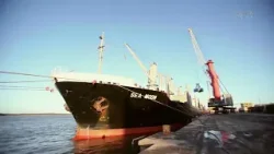 Exportações gaúchas recuam em 2025 Exportações gaúchas recuam em 2025