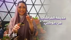 هل زرتم حديقة الفراشات في  #أبوظبي ؟ ?? | #صباح_الإمارات