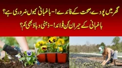 Gardening at Home: Surprising Benefits for Your Physical and Mental Health!