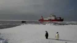 Завершилась 40-я антарктическая экспедиция Китая