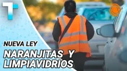 La Legislatura aprobó la ley para prohibir naranjitas ilegales y regular la actividad La Legislatura aprobó la ley para prohibir naranjitas ilegales y regular la actividad