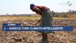 Namibie : 2,87 millions USD pour stimuler l'agriculture