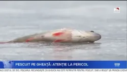 Pescuit pe gheață subțire: avertismentul salvatorilor ignorat de unii pescari