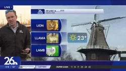 Lion, llama or lamb?