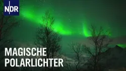 Nordnorwegen: Die Jagd auf Polarlichter in Tromsø | Ostseereport | NDR Doku