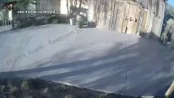 Asian elephant breaks out of enclosure at New Mexico zoo